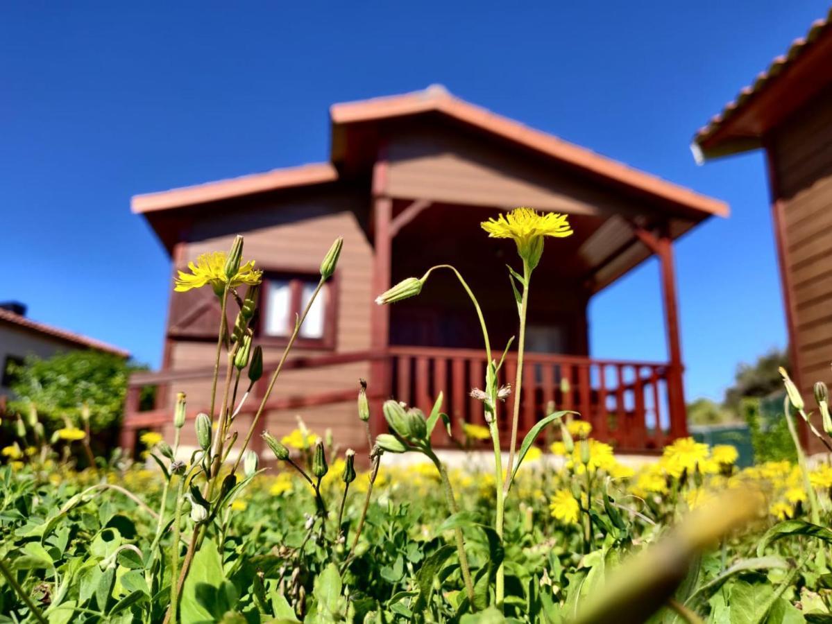 Camping Bungalow Serra De Prades Resort Vilanova de Prades Exterior foto